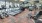 Large fitness center with cardio and weight lifting equipment.